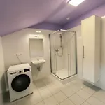 Apartment A Sauna Ctyri Sezony Ve Strazi Straz (Karlovy Vary)