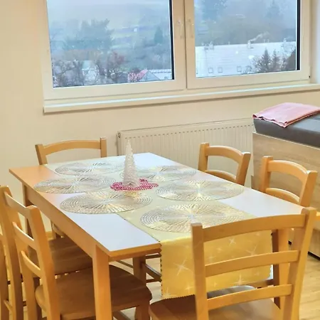 Appartement A Sauna Ctyri Sezony Ve Strazi Straz (Karlovy Vary)